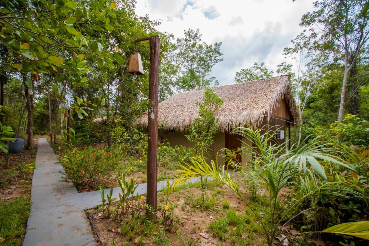 Amazon Turtle Lodge Careiro Zewnętrze zdjęcie