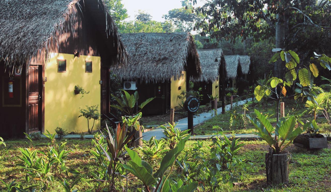 Amazon Turtle Lodge Careiro Zewnętrze zdjęcie