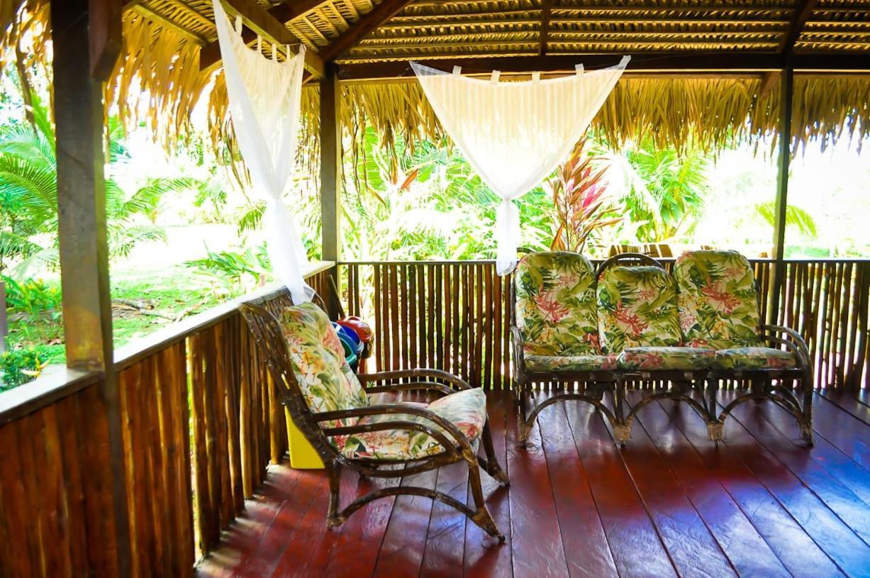 Amazon Turtle Lodge Careiro Zewnętrze zdjęcie